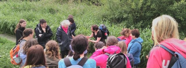 Foraging group