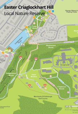 Map of the Hill