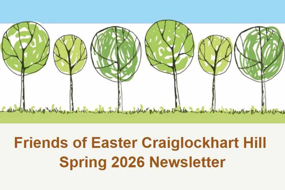 Spring 26 Newsletter