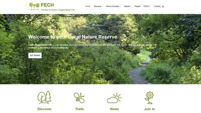Homepage