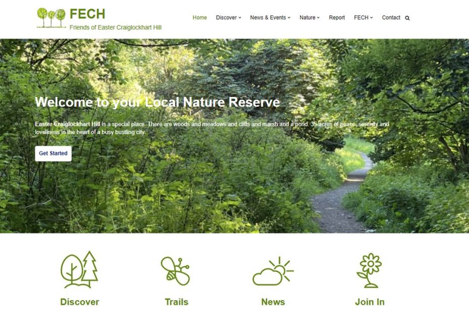 Homepage