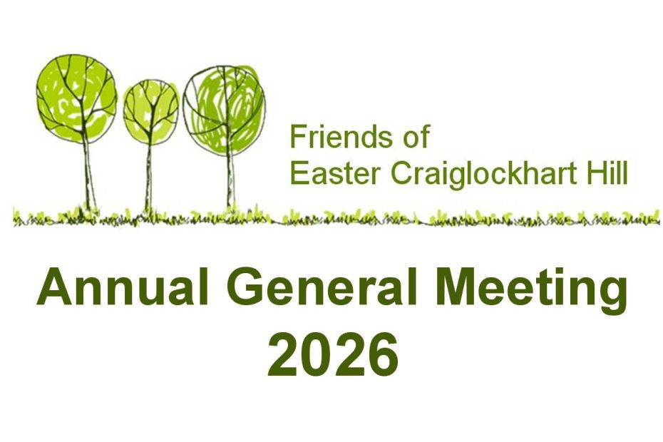 FECH AGM 2026