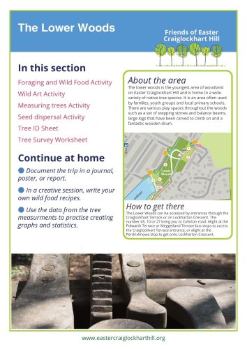Lower Woods Activities