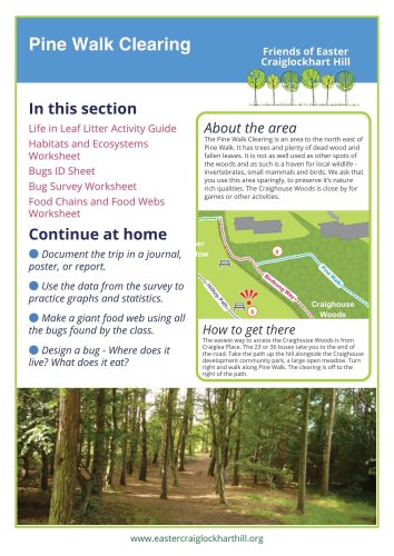 Pine Walk Clearing Activities