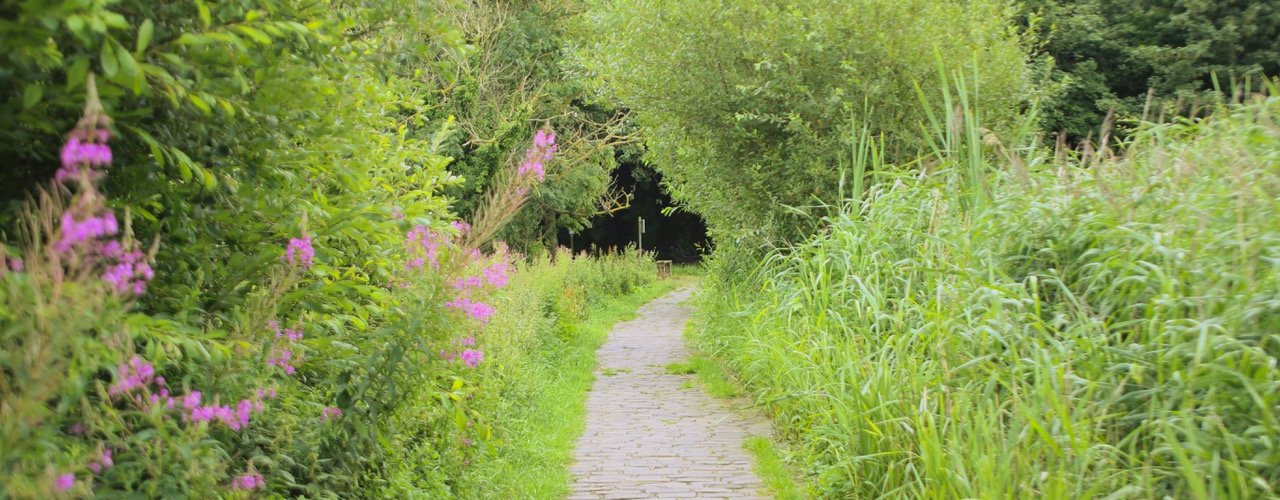Welcome to Easter Craiglockhart Hill in August