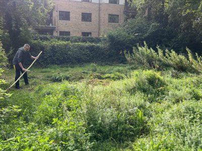 Small Meadow being mown in September