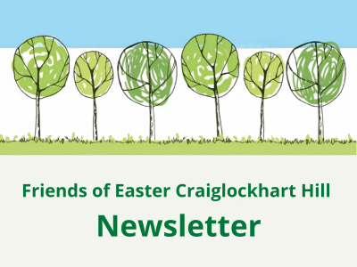 Newsletter Post